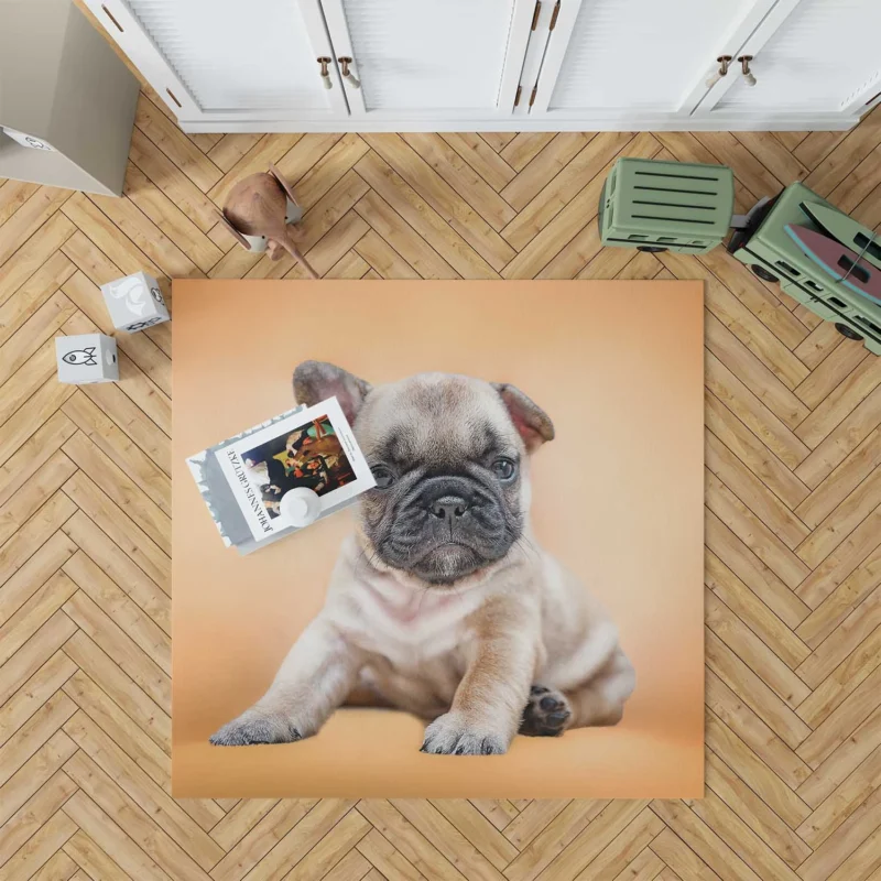 Festive Pups: Pug Christmas Quartet Floor Rug