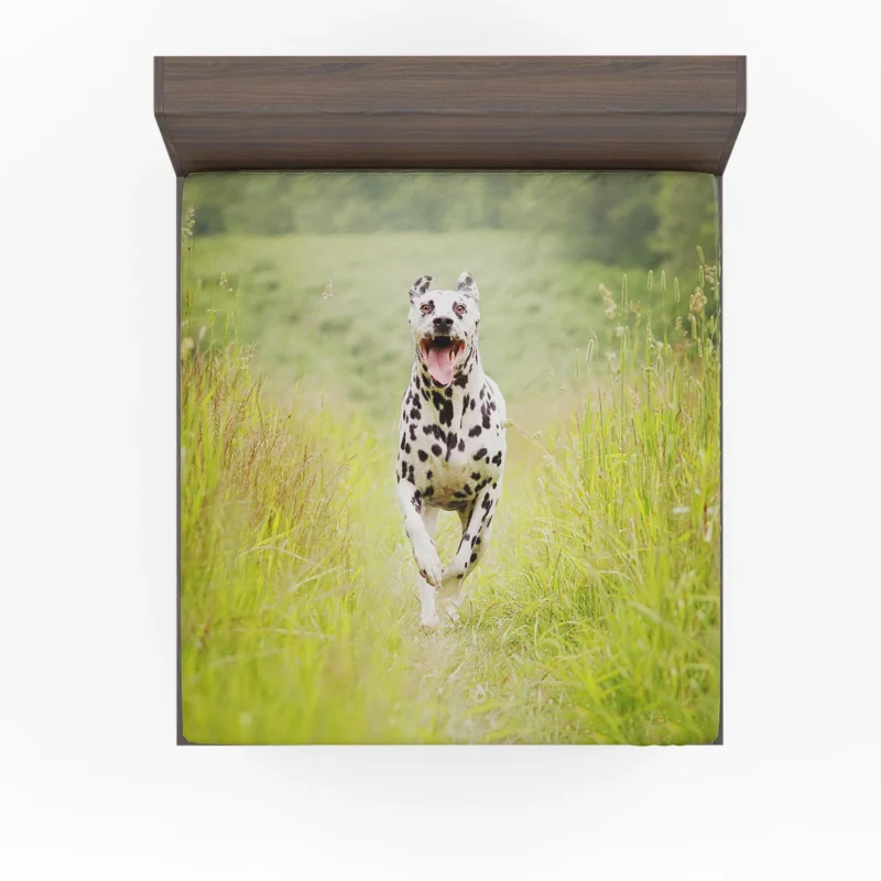 Field with Depth of Field: Dalmatian Quartet Fitted Sheet