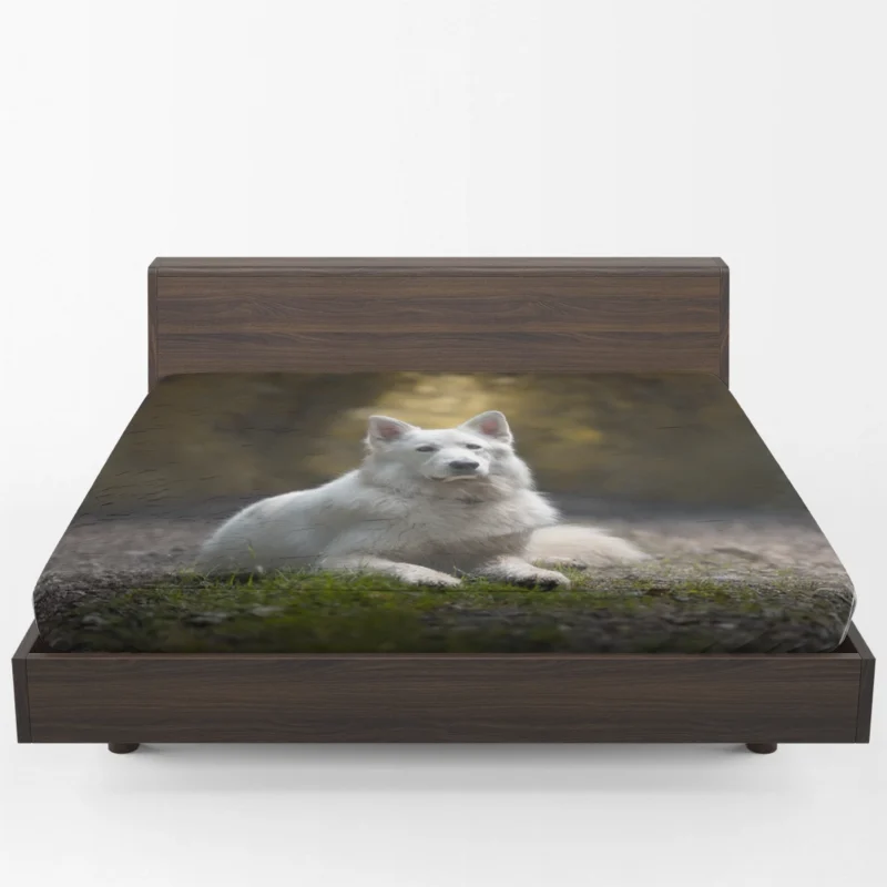 Fields of Depth and Beauty: White Shepherd Quartet Fitted Sheet 1