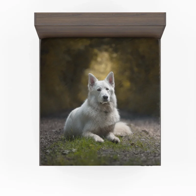 Fields of Depth and Beauty: White Shepherd Quartet Fitted Sheet