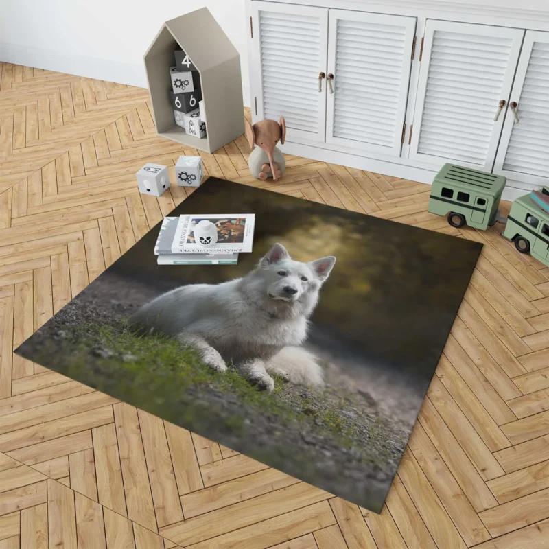 Fields of Depth and Beauty: White Shepherd Quartet Floor Rug 1