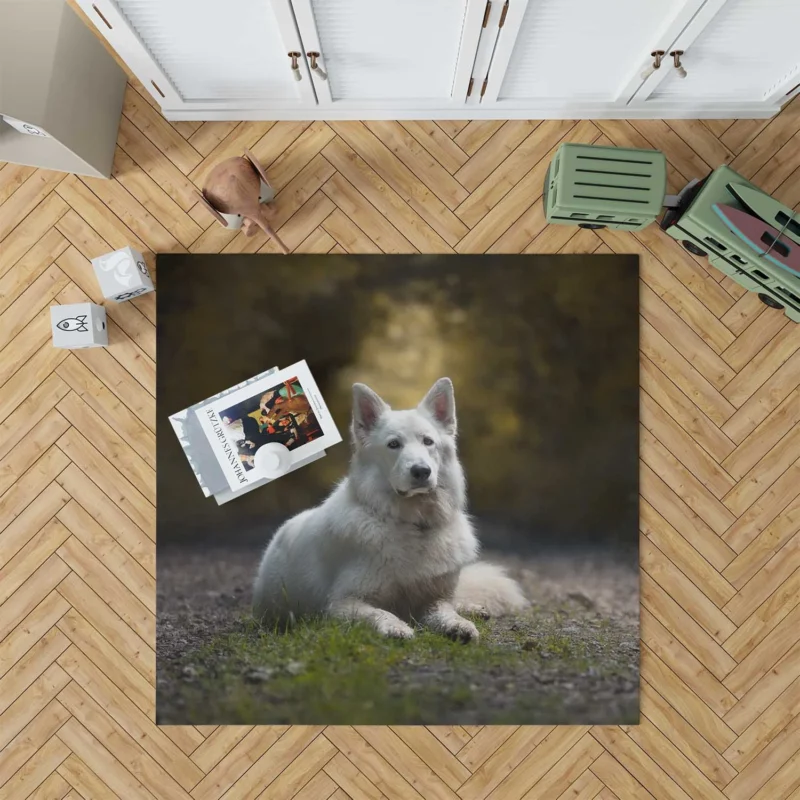 Fields of Depth and Beauty: White Shepherd Quartet Floor Rug