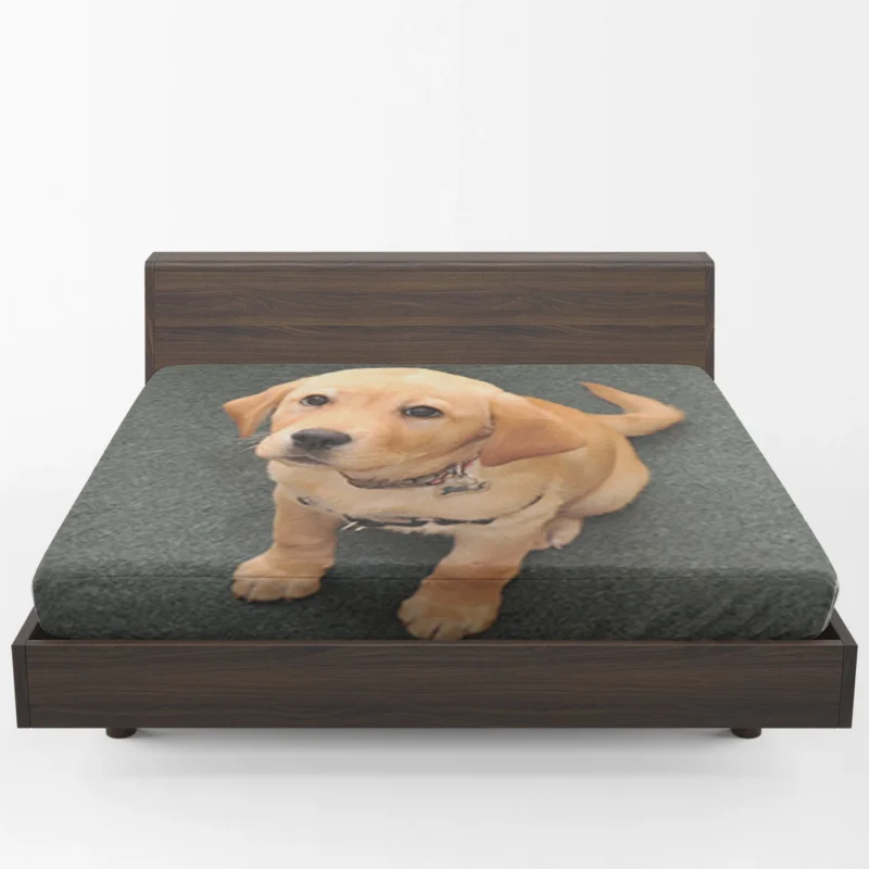 Floral Canine Companions: Labrador Quartet Fitted Sheet 1