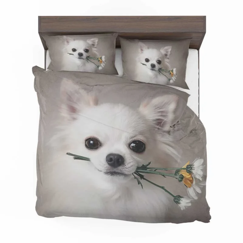 Floral Elegance in Fourfold: Chihuahua Quartet Bedding Set 1