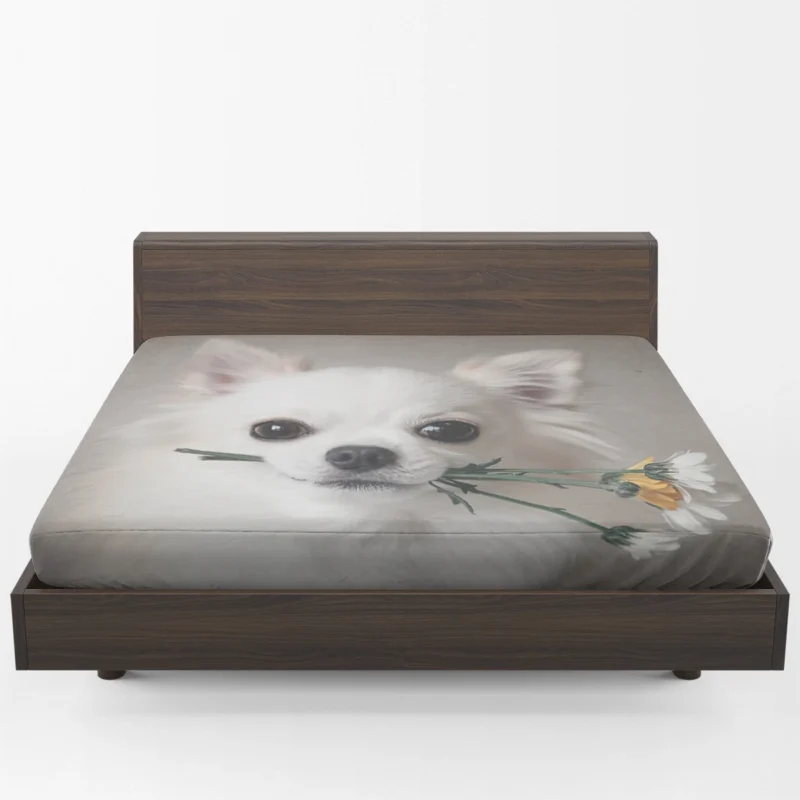 Floral Elegance in Fourfold: Chihuahua Quartet Fitted Sheet 1