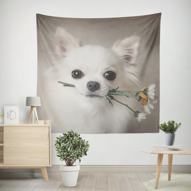 Floral Elegance in Fourfold  Chihuahua Quartet Wall Tapestry