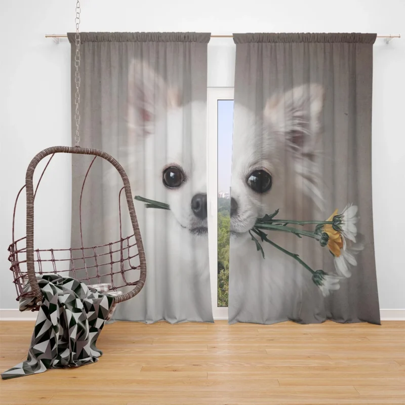 Floral Elegance in Fourfold: Chihuahua Quartet Window Curtain