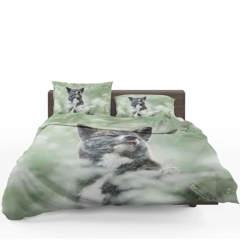 Floral Elegance in Fourfold: The Akita Quartet Bedding Set