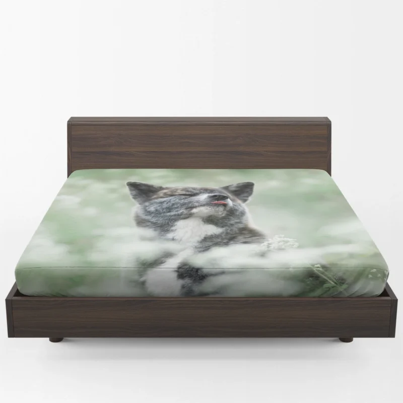 Floral Elegance in Fourfold: The Akita Quartet Fitted Sheet 1