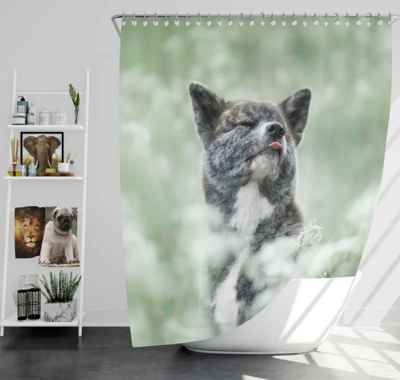 Floral Elegance in Fourfold: The Akita Quartet Shower Curtain