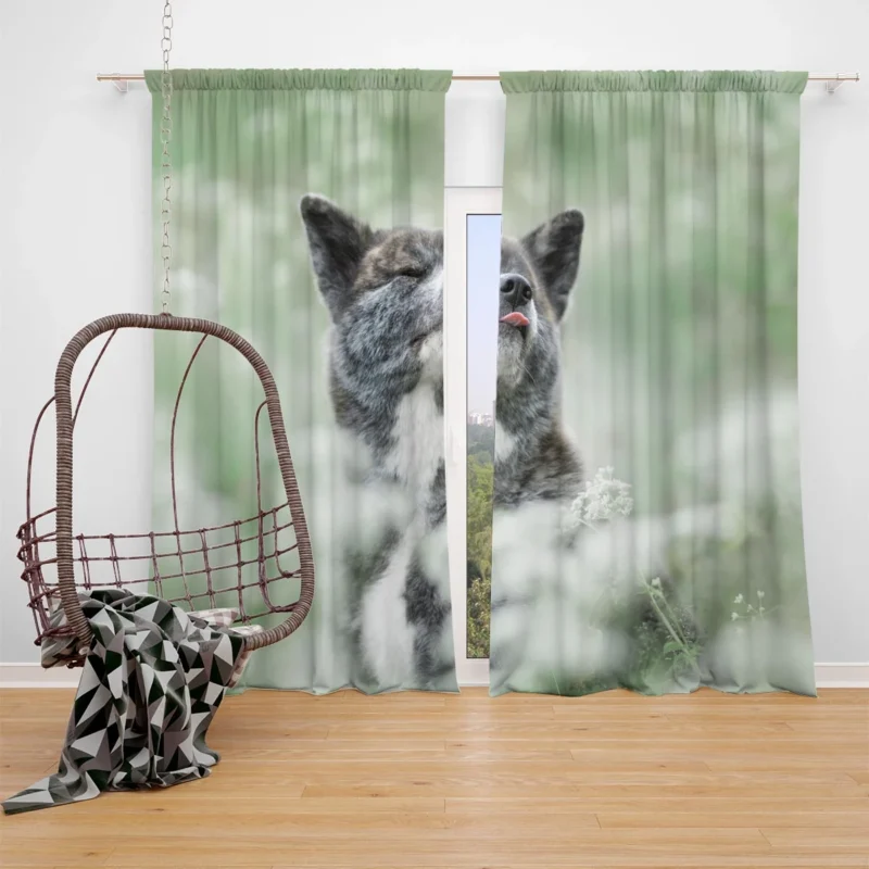 Floral Elegance in Fourfold: The Akita Quartet Window Curtain