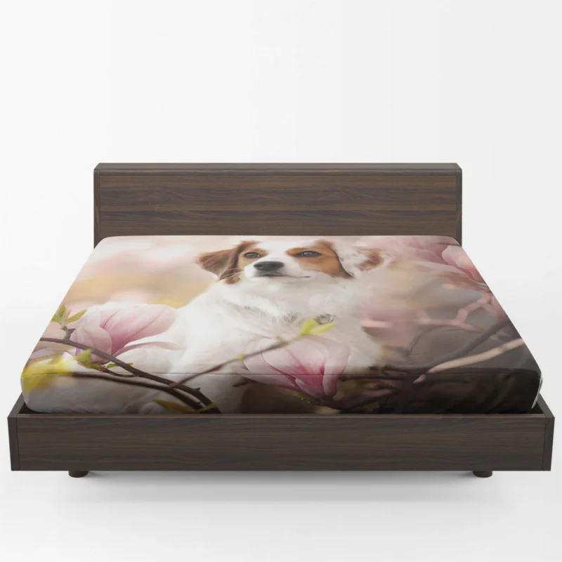 Floral Quartet Charm: Kooikerhondje Magnolias Fitted Sheet 1