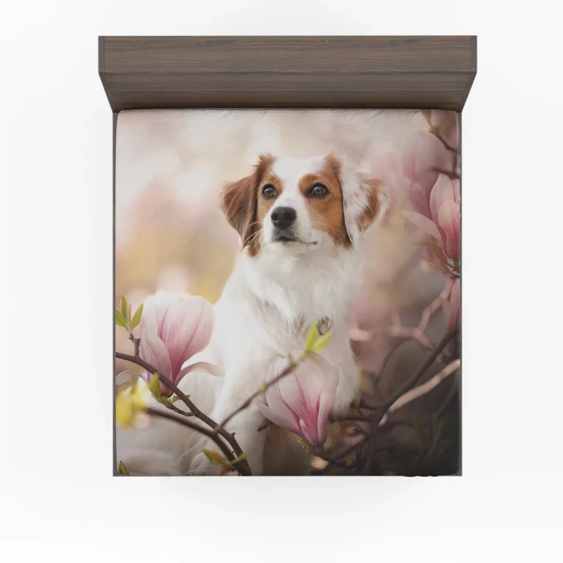 Floral Quartet Charm: Kooikerhondje Magnolias Fitted Sheet