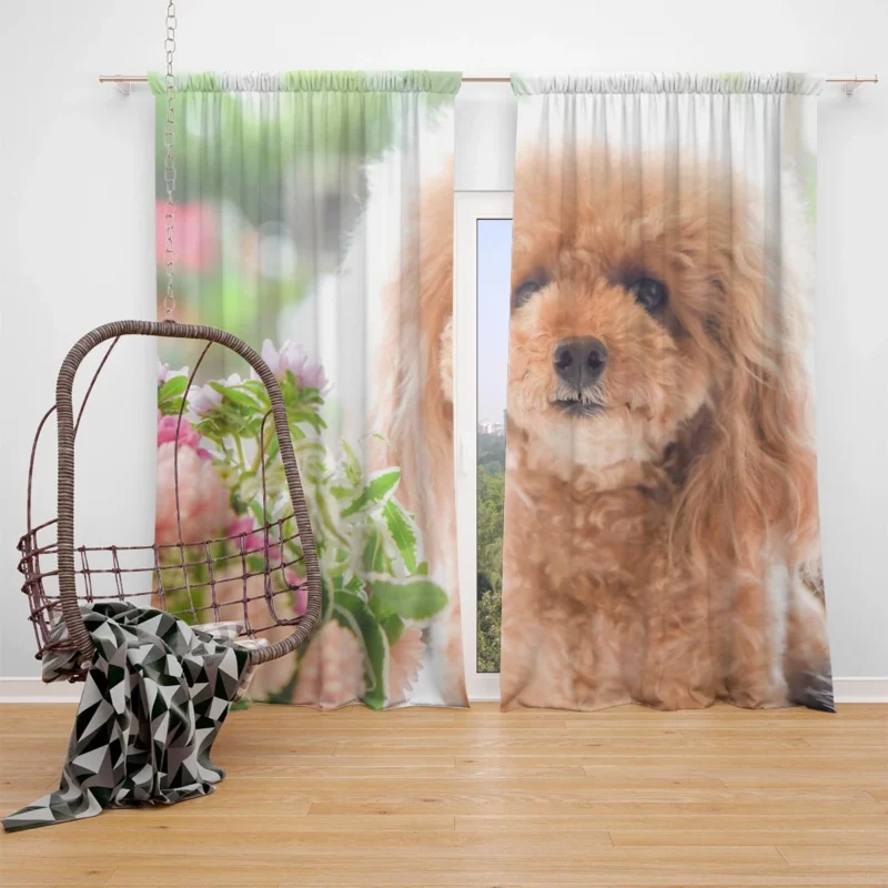 Flower Bouquet Poodles: Poodle Quartet Window Curtain