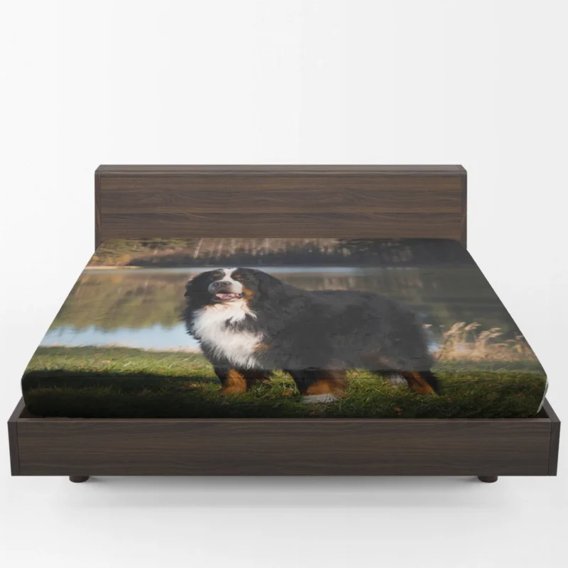 Flower and Bernese Charm: Bernese Mountain Dog Fitted Sheet 1