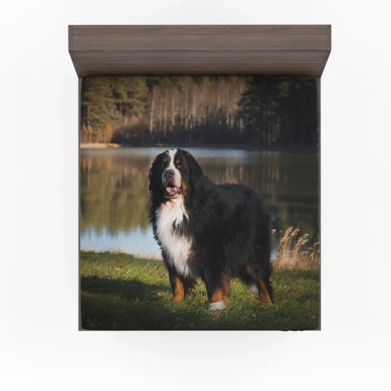 Flower and Bernese Charm: Bernese Mountain Dog Fitted Sheet