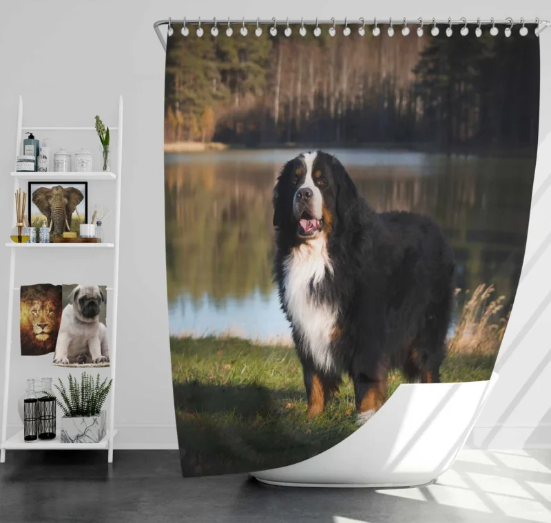 Flower and Bernese Charm: Bernese Mountain Dog Shower Curtain