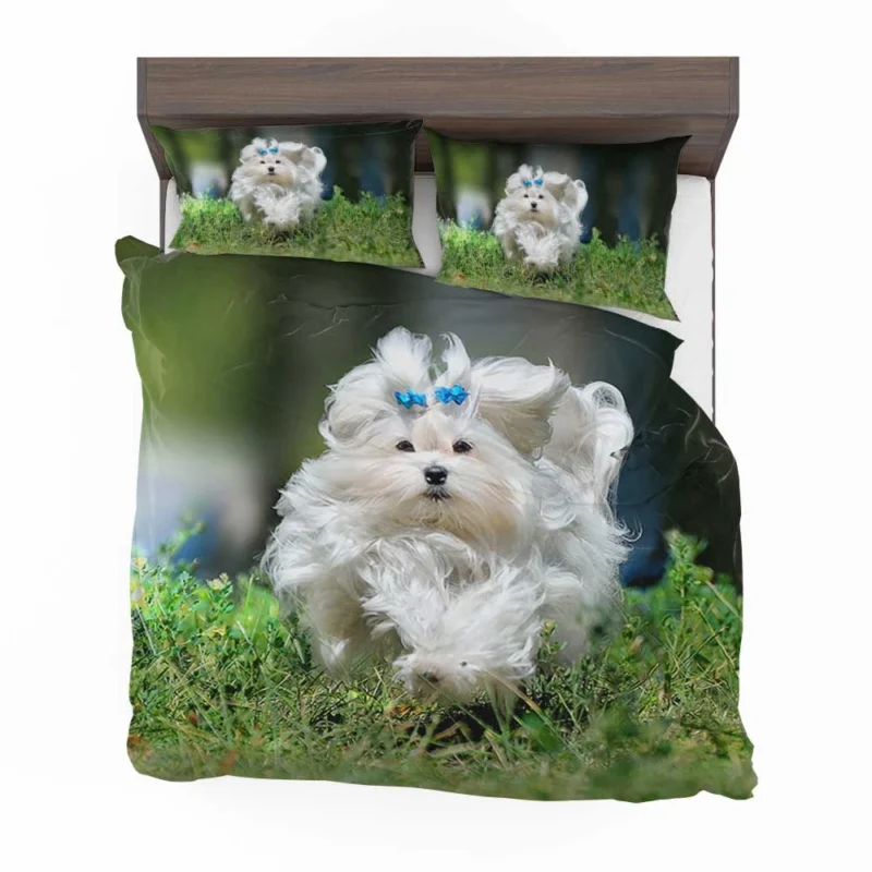 Fluffy Canine Companions: Maltese Quartet Bedding Set 1