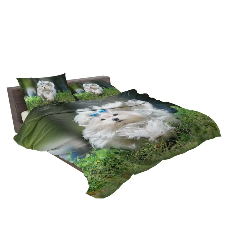 Fluffy Canine Companions: Maltese Quartet Bedding Set 2