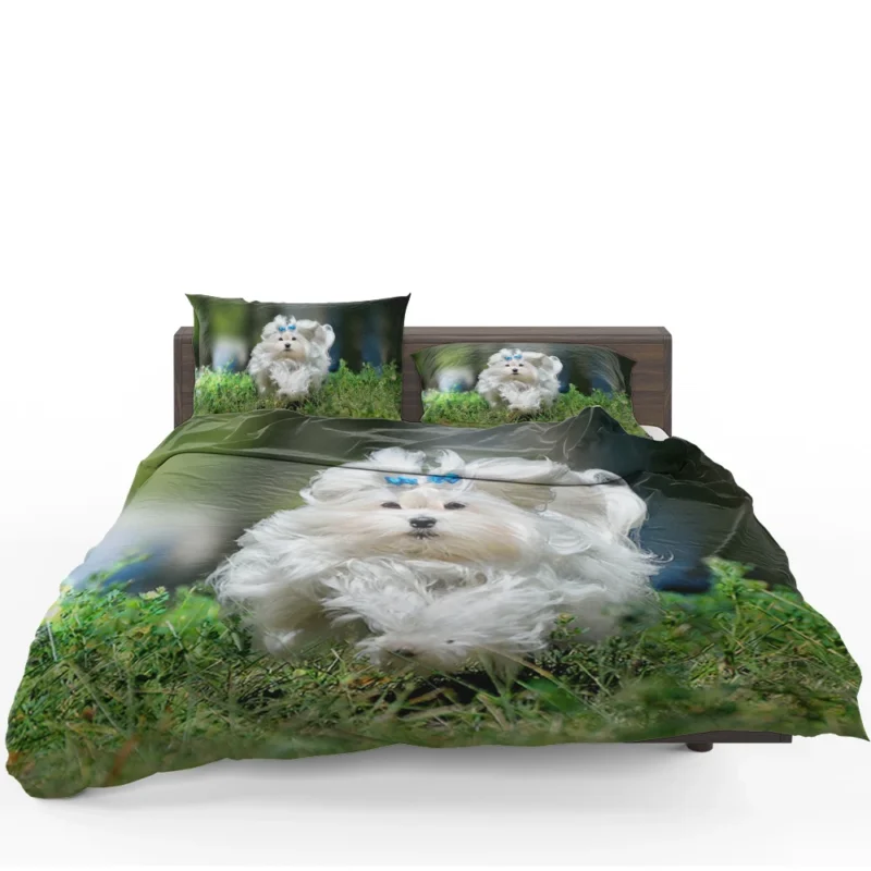 Fluffy Canine Companions: Maltese Quartet Bedding Set