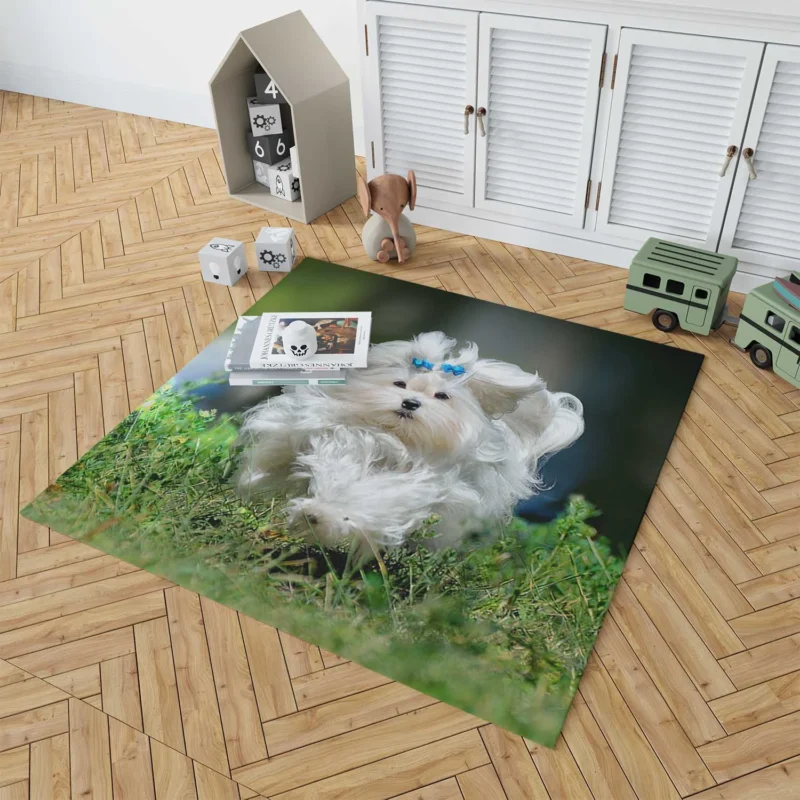 Fluffy Canine Companions: Maltese Quartet Floor Rug 1