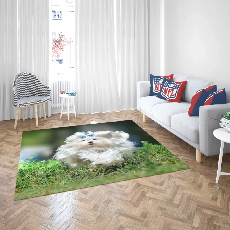 Fluffy Canine Companions: Maltese Quartet Floor Rug 2