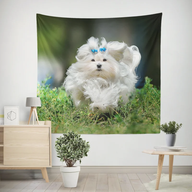 Fluffy Canine Companions  Maltese Quartet Wall Tapestry