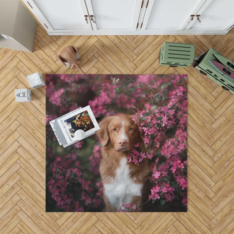 Fluffy Charm: Old English Sheepdog Quartet Floor Rug