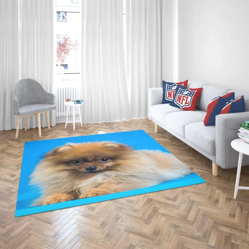 Fluffy Charm: Pomeranian Quartet Floor Rug 2