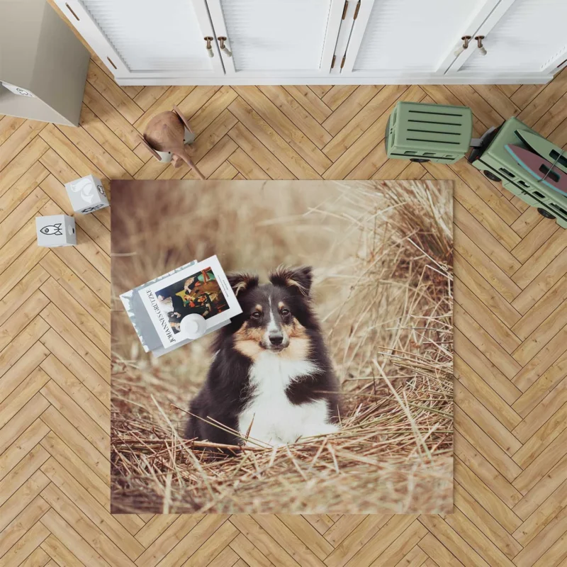 Fluffy Collie Cuteness: Rough Collie Quartet Floor Rug