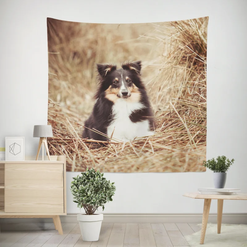 Fluffy Collie Cuteness  Rough Collie Quartet Wall Tapestry