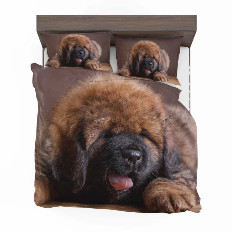 Fluffy and Adorable: Tibetan Mastiff Puppies Bedding Set 1