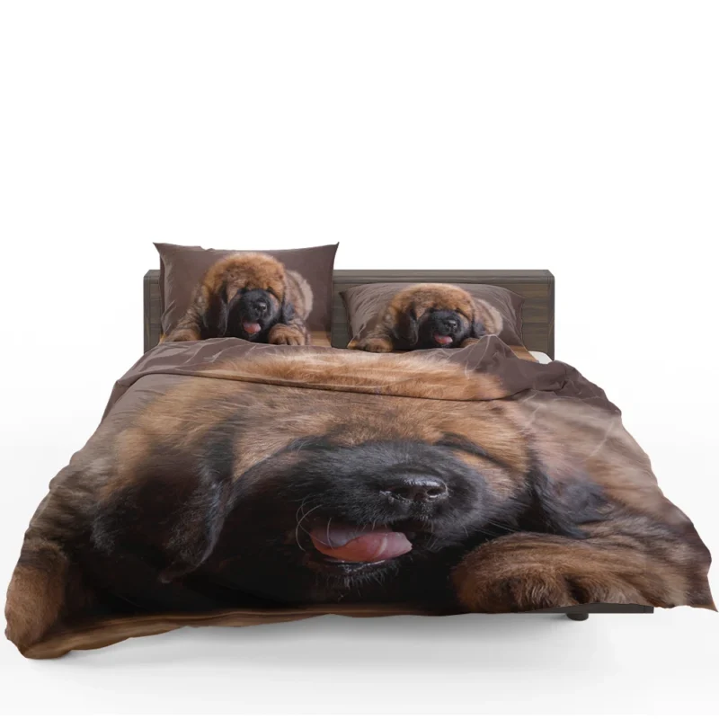 Fluffy and Adorable: Tibetan Mastiff Puppies Bedding Set