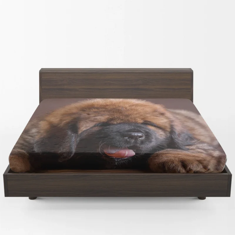 Fluffy and Adorable: Tibetan Mastiff Puppies Fitted Sheet 1