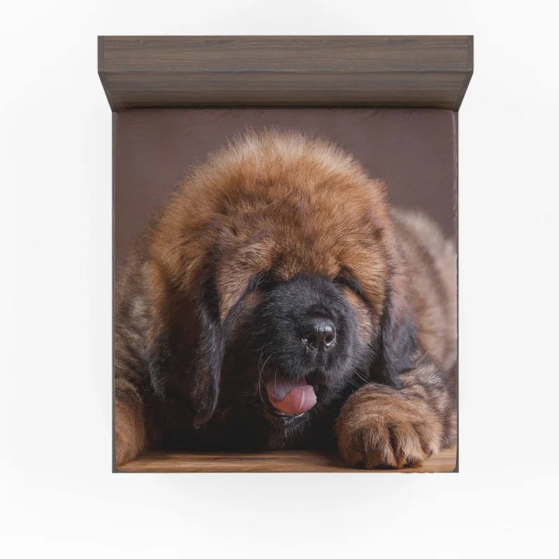 Fluffy and Adorable: Tibetan Mastiff Puppies Fitted Sheet