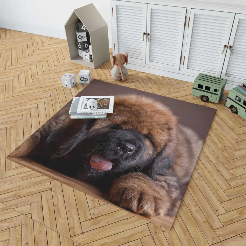 Fluffy and Adorable: Tibetan Mastiff Puppies Floor Rug 1