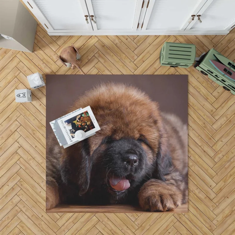 Fluffy and Adorable: Tibetan Mastiff Puppies Floor Rug