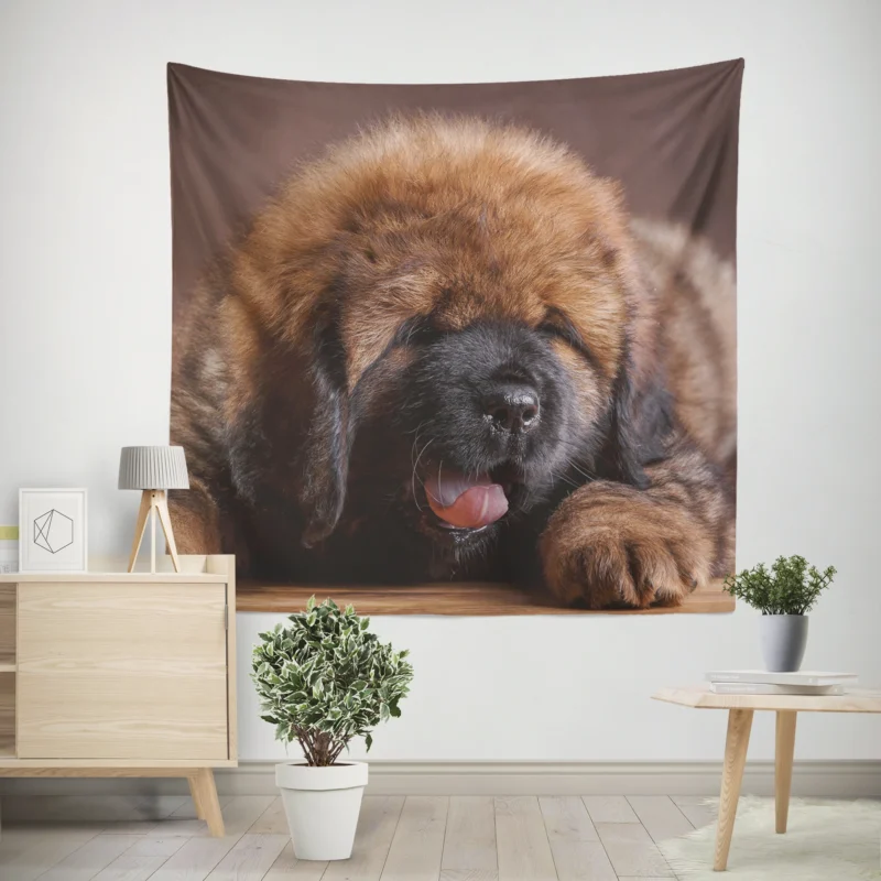 Fluffy and Adorable  Tibetan Mastiff Puppies Wall Tapestry