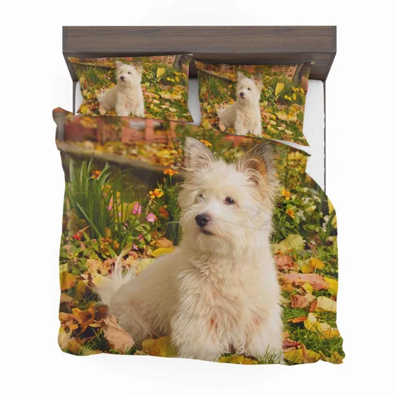 Fluffy and Fun: West Highland White Terrier Quartet Bedding Set 1