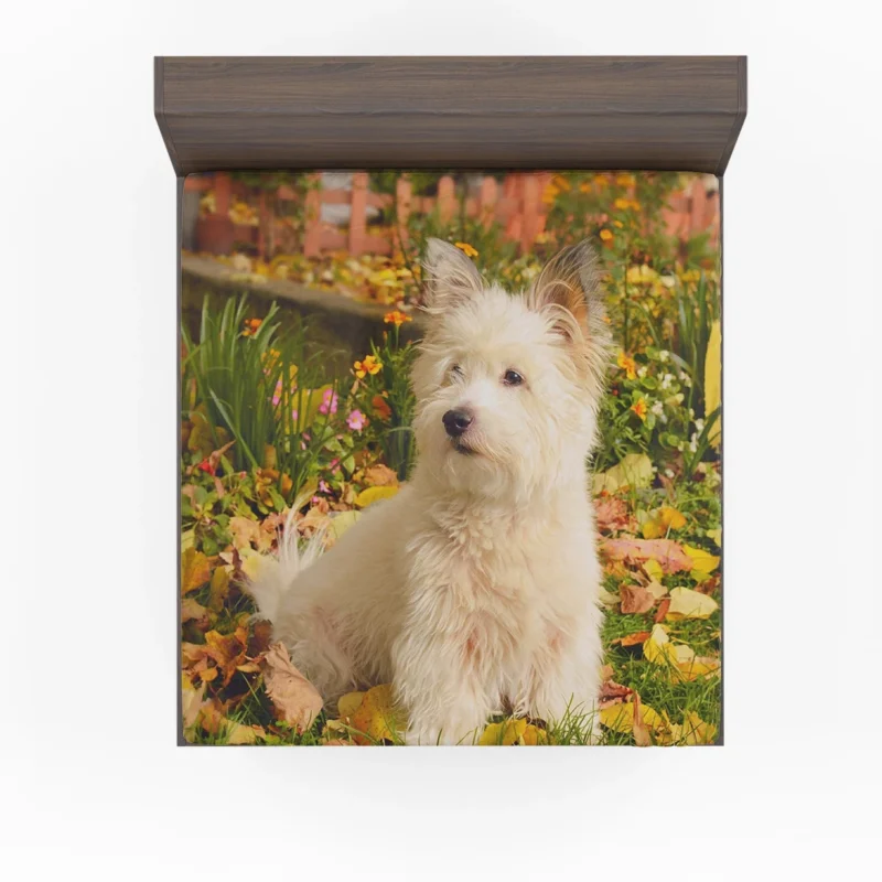 Fluffy and Fun: West Highland White Terrier Quartet Fitted Sheet