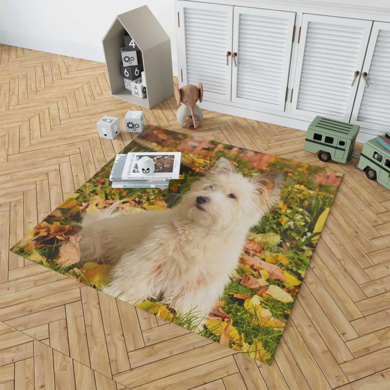 Fluffy and Fun: West Highland White Terrier Quartet Floor Rug 1