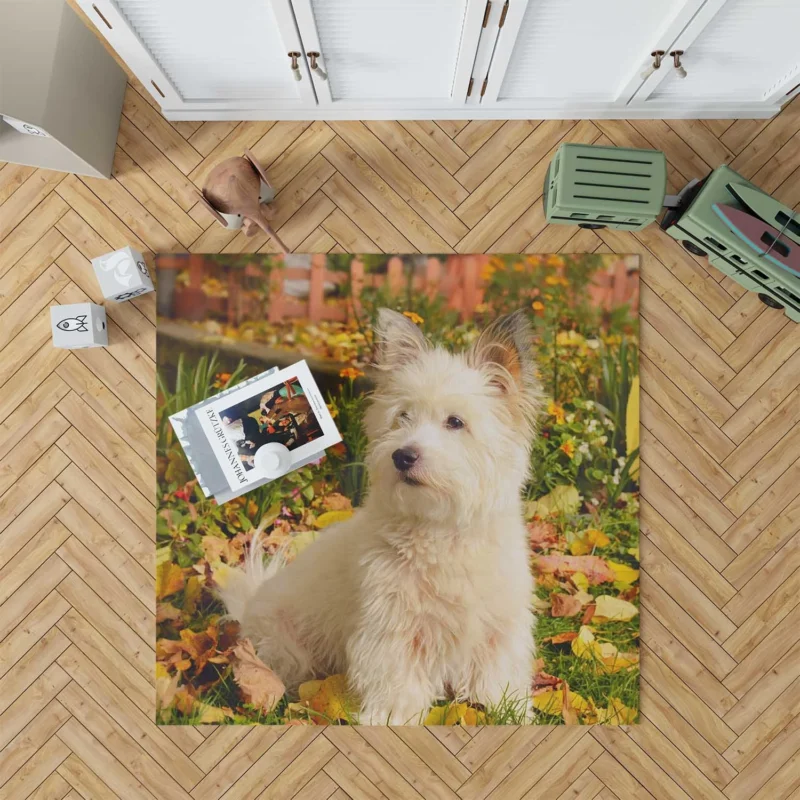 Fluffy and Fun: West Highland White Terrier Quartet Floor Rug