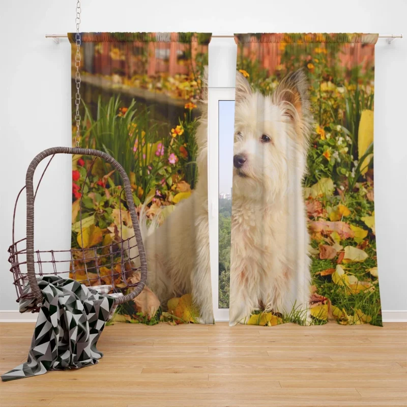 Fluffy and Fun: West Highland White Terrier Quartet Window Curtain