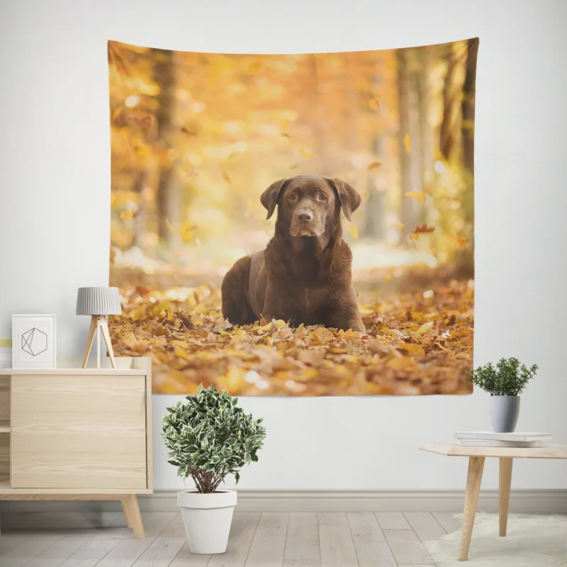 Forest Adventure  Labrador Fall Quartet Wall Tapestry