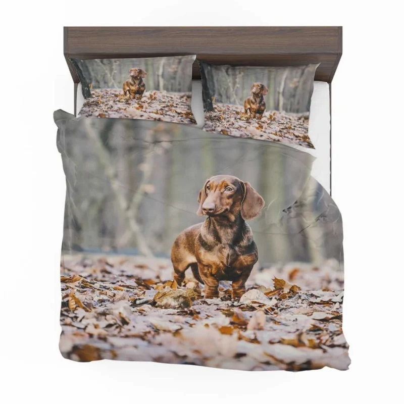 Forest Fantasy with Depth of Field: Dachshund Quartet Bedding Set 1