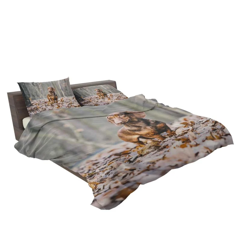 Forest Fantasy with Depth of Field: Dachshund Quartet Bedding Set 2