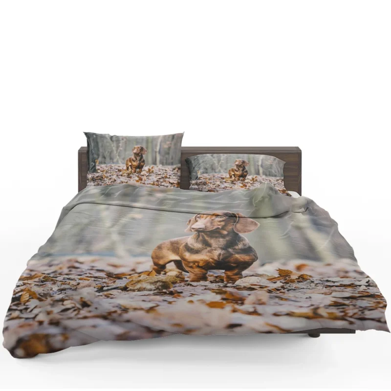 Forest Fantasy with Depth of Field: Dachshund Quartet Bedding Set