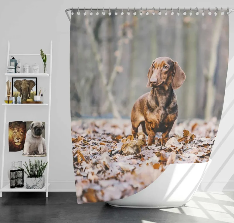 Forest Fantasy with Depth of Field: Dachshund Quartet Shower Curtain