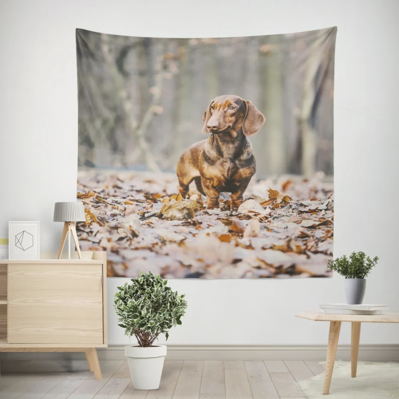 Forest Fantasy with Depth of Field  Dachshund Quartet Wall Tapestry