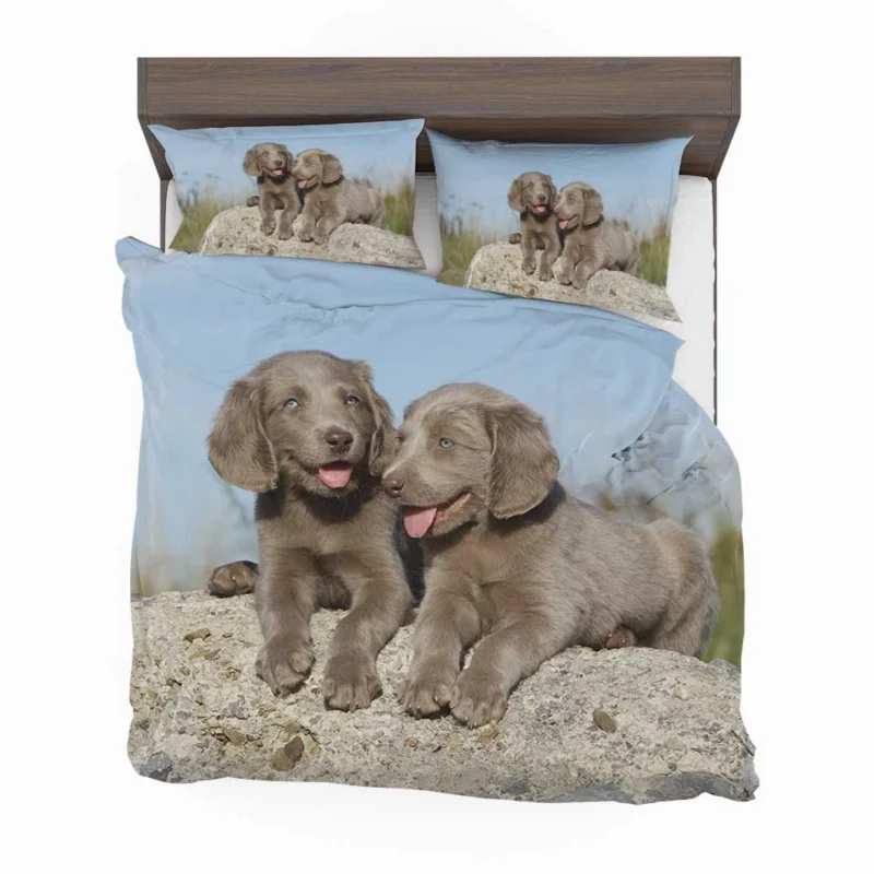 Four Adorable Weimaraner Puppies: Weimaraner Quartet Bedding Set 1